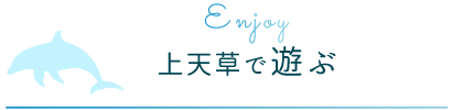 上天草で遊ぶ