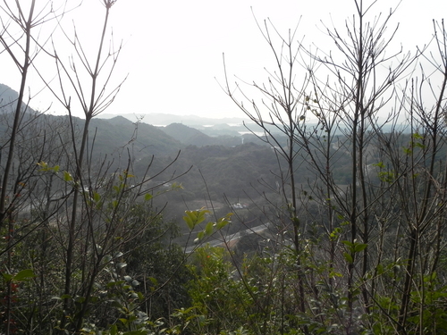 柴尾山に行ってきたよ。 2014年1月11日