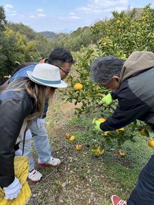 マイスターガイド体験写真22