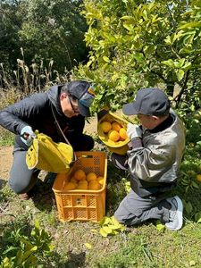 マイスターガイド体験写真6